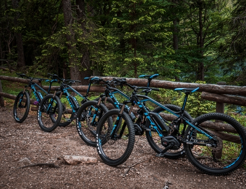 fahrrad mieten freiburg